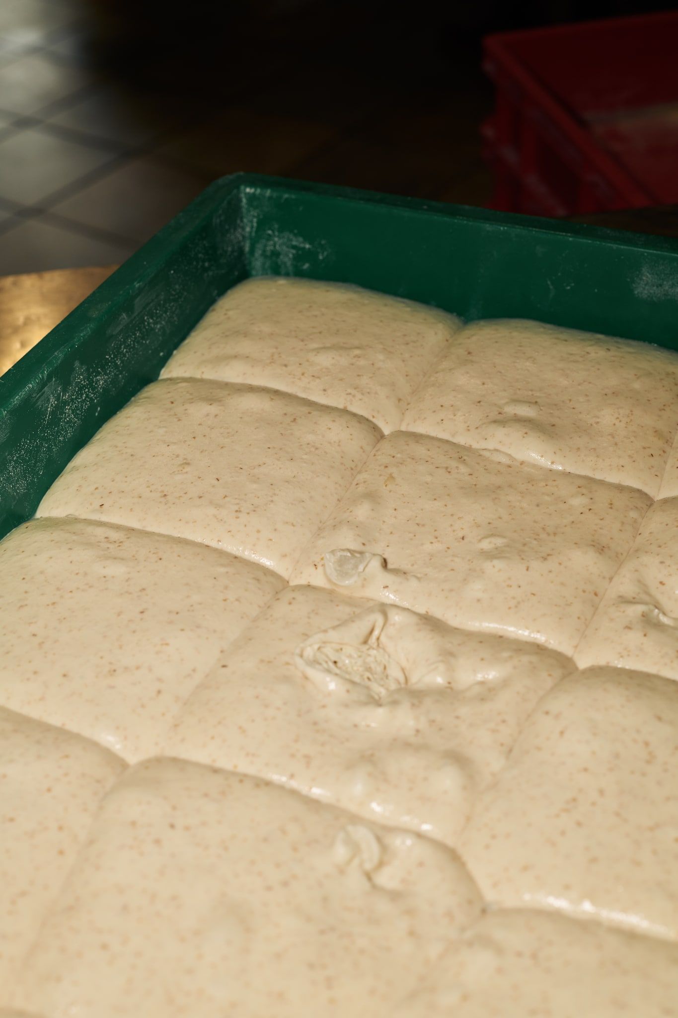 Panetti di impasto che lievitano in una cassetta